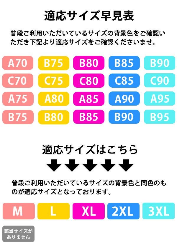 ナイトブラレディースノンワイヤー下着インナー上下脇肉育乳スッキリ楽ちん快適おしゃれメール便のみ送料無料27月1日から10日入荷予定