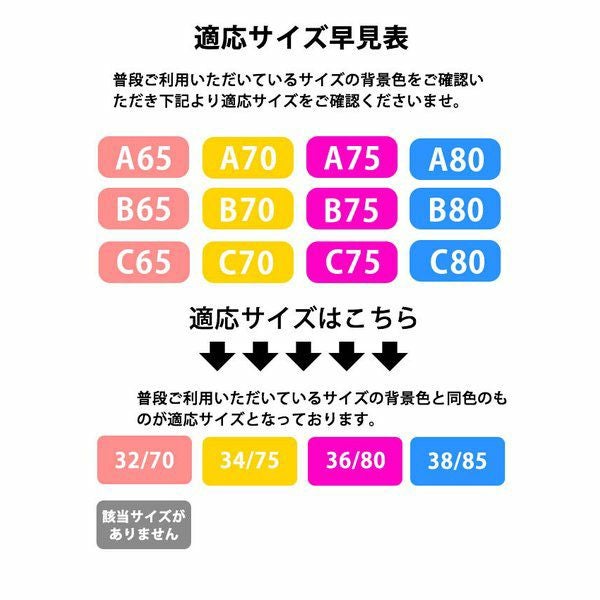 ブラジャーショーツセット脇高レディース脇肉補正下着インナー上下リボンメール便のみ送料無料27月10日から20日入荷予定