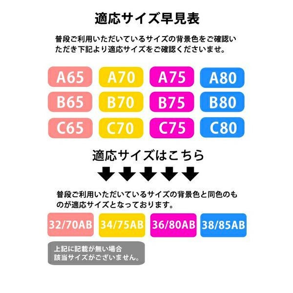 ノンワイヤーブラセット脇高総レースレディース下着盛りインナー上下脇肉スッキリ楽ちん谷間盛れるメール便送料無料24月1日から10日入荷予定